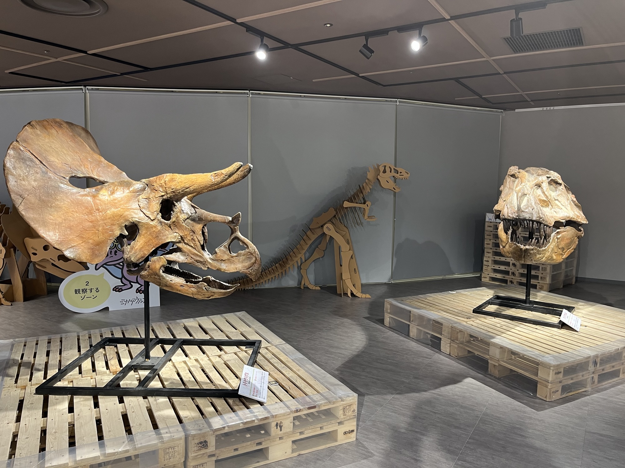 ミナノザウルス2025 – ケラトプスユウタの恐竜旅行ブログ