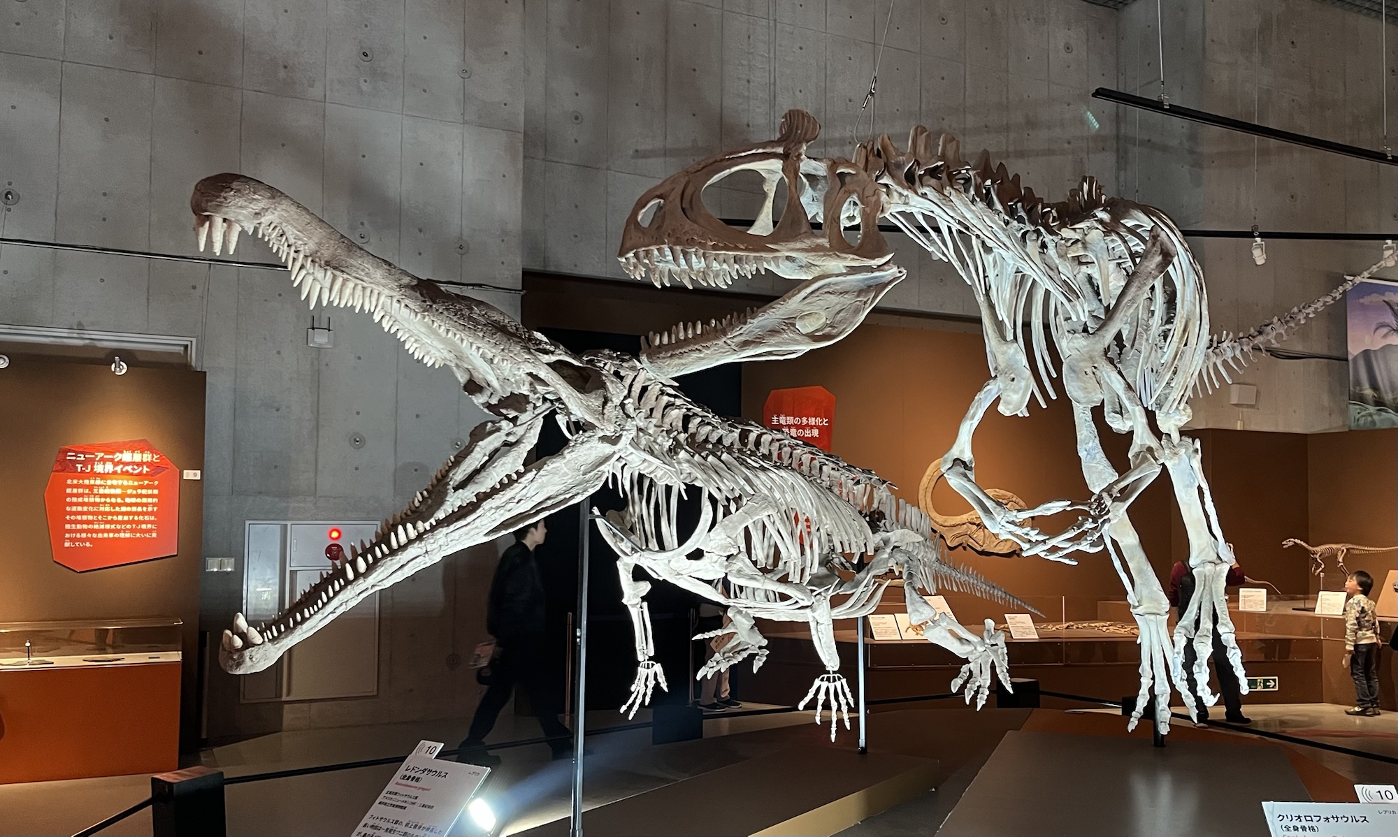大絶滅展 生命史のビッグファイブ #4 T-J境界 – ケラトプスユウタの