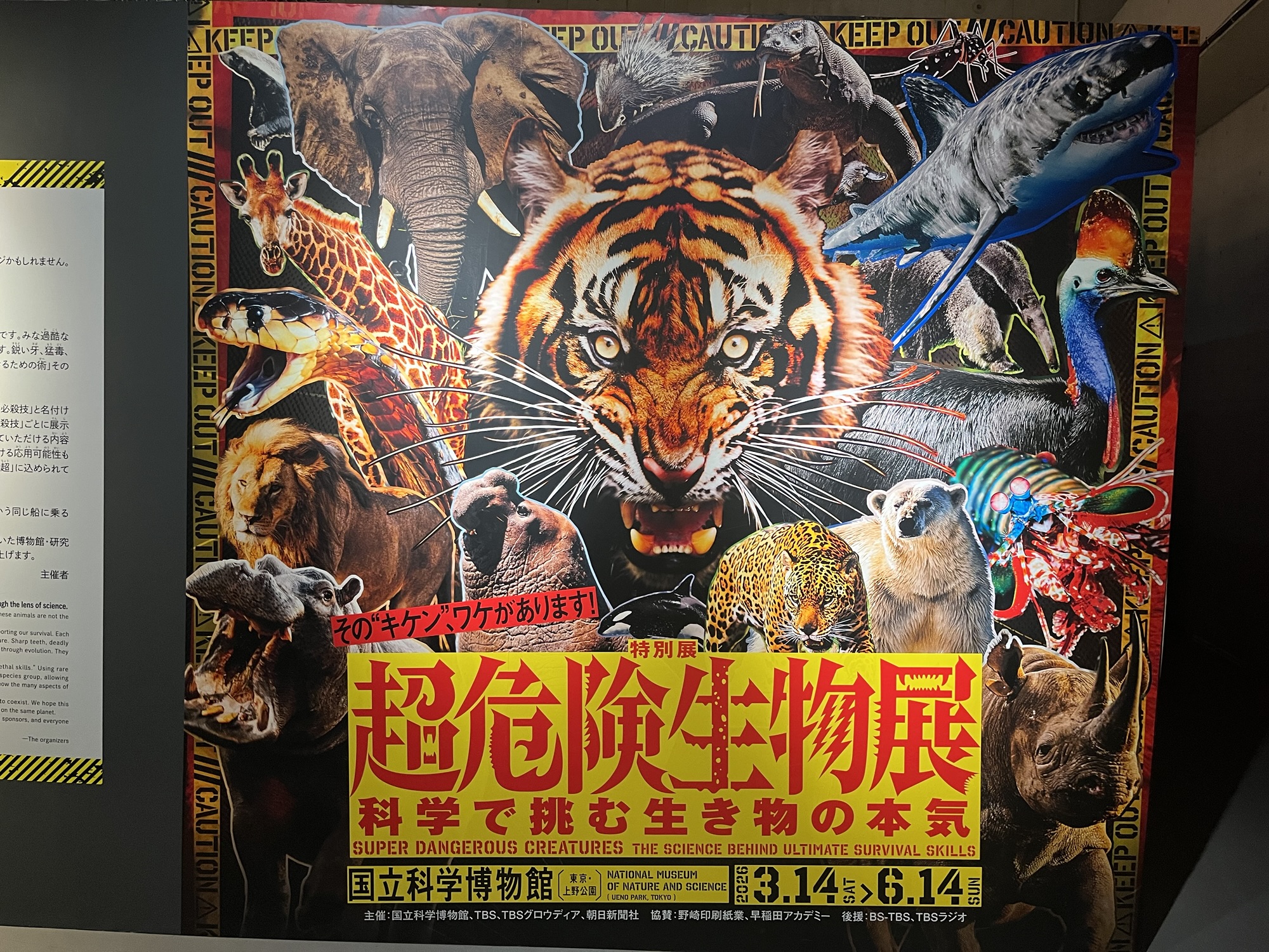 超危険生物展 – ケラトプスユウタの恐竜旅行ブログ